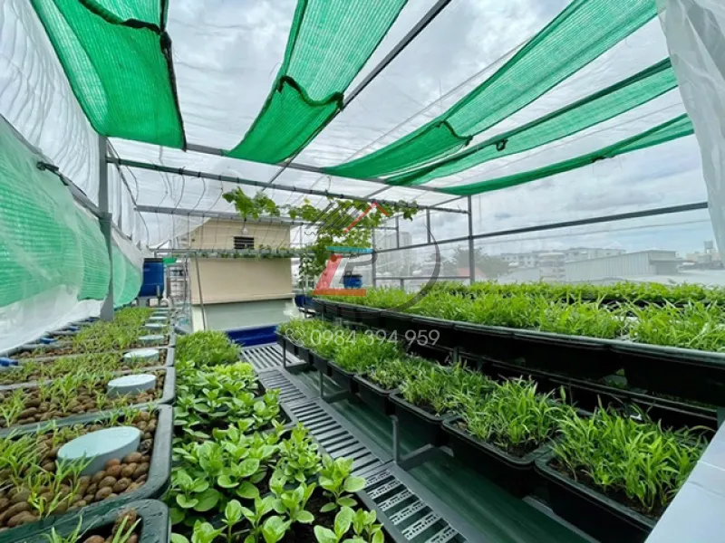 Sửa dụng khung thép kết hợp lưới làm mái che sân thượng